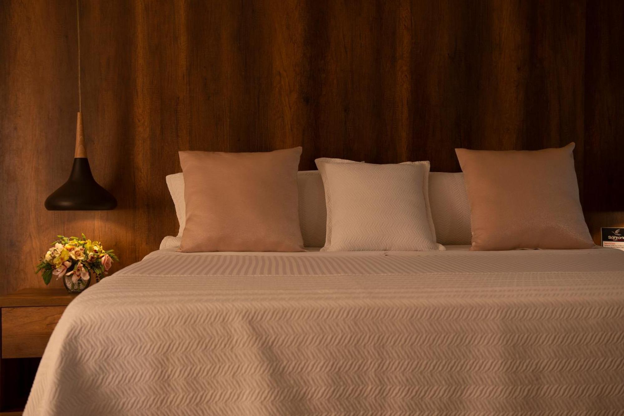 מונטריה Hotel Santorini Loft חדר תמונה